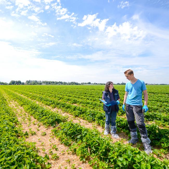 UITNODIGING: Event Kringlooplandbouw met netwerkborrel 