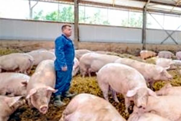 Docentenstage: "Weer met de voeten in de laarzen"