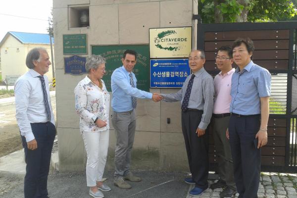 Succesvolle internationaliseringsreis Zuid-Korea