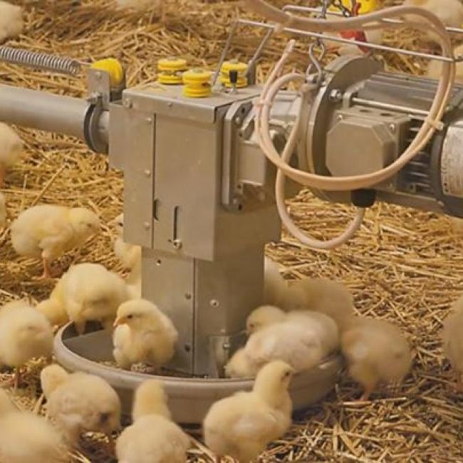 Masterclass Smart Farming Dier