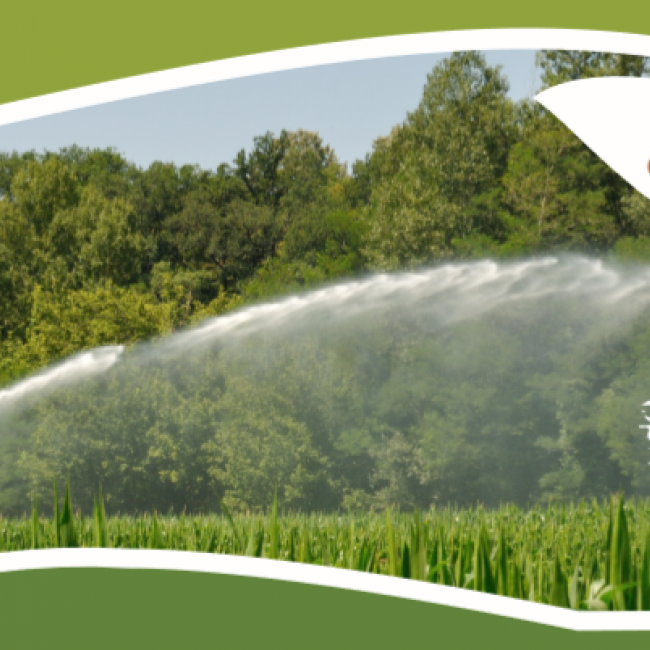 Symposium: Droogte in Nederland