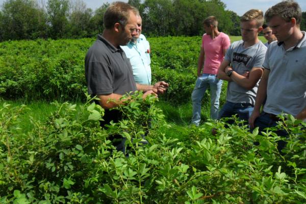 Landelijke dag Boomteelt: verbinden studenten met ondernemers