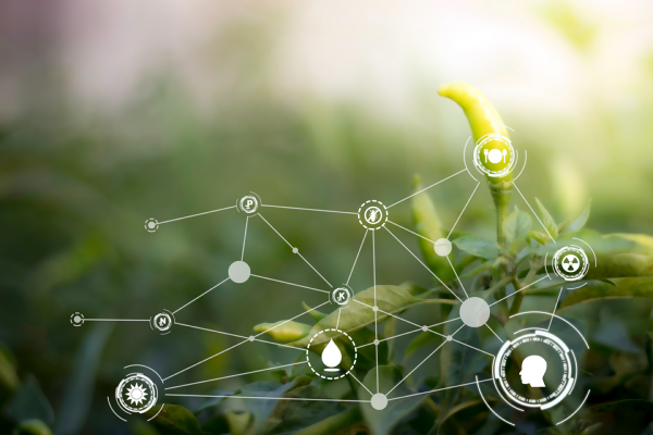 Bijeenkomst 'Circulaire voedselsystemen en Big data' | 7 december 2022