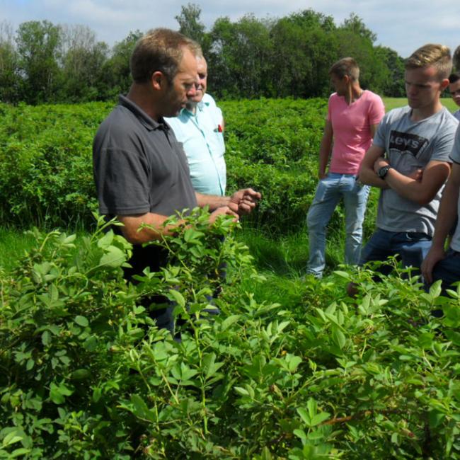 Landelijke dag Boomteelt: verbinden studenten met ondernemers