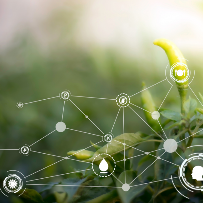 Bijeenkomst 'Circulaire voedselsystemen en Big data' | 7 december 2022