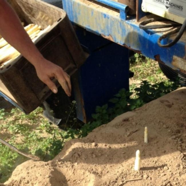 De kennis die tijdens bedrijfsbezoeken wordt opgedaan, wordt verwerkt in de lesmodule