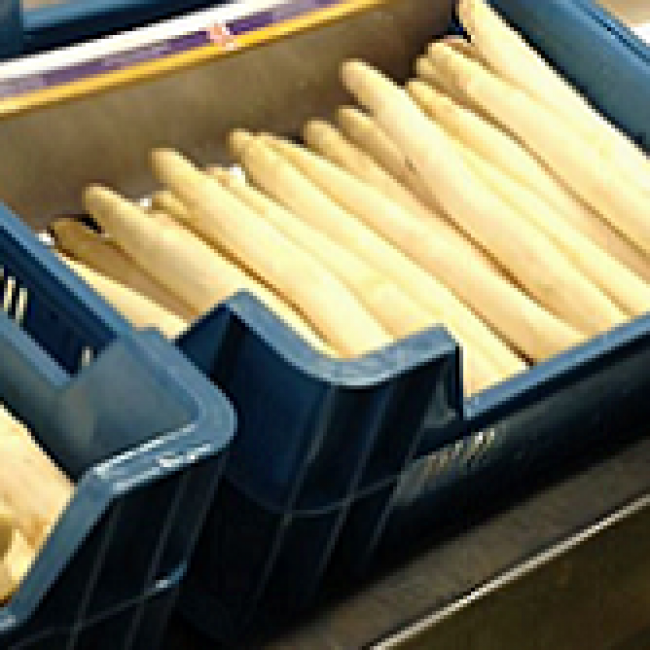 Online lesmodule "Kwaliteit van agroproducten"