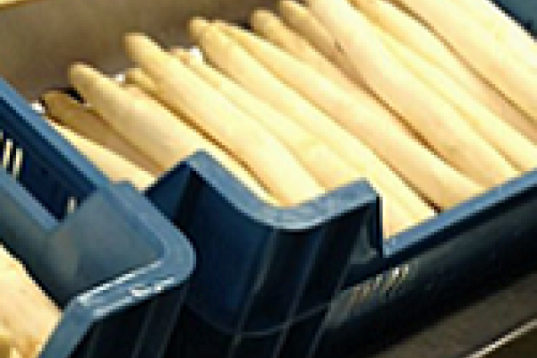 Online lesmodule "Kwaliteit van agroproducten"