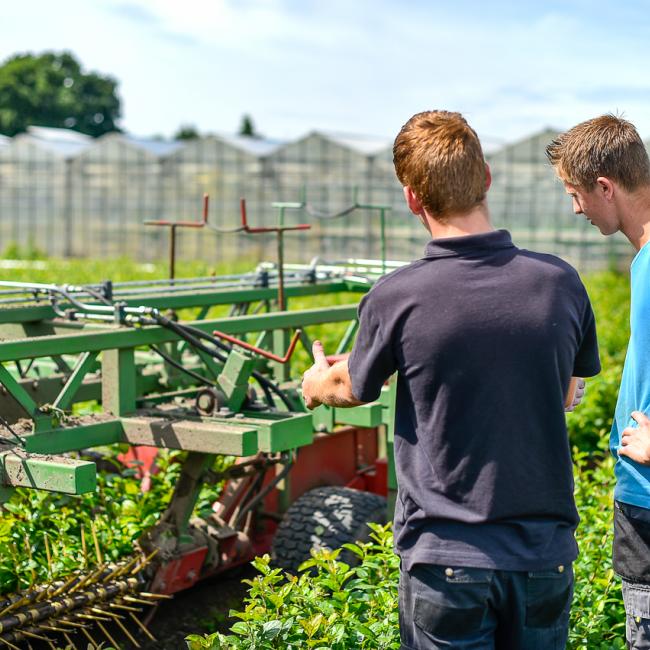 Aantal studenten in de agrosector in Zuidoost-Nederland groeit met 67% 