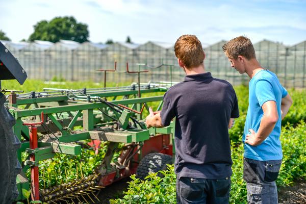Aantal studenten in de agrosector in Zuidoost-Nederland groeit met 67% 