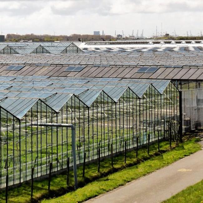 Cursus: Glastuinbouw - Onderhoud en storingen technische installaties