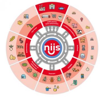 rotonde van Nijsen.jpg