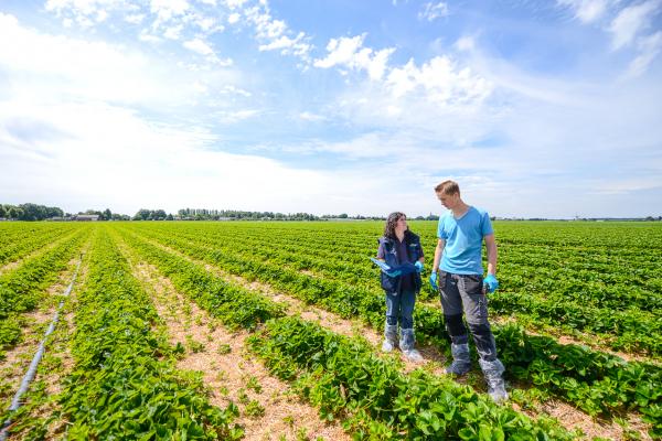 UITNODIGING: Event Kringlooplandbouw met netwerkborrel 