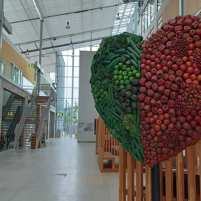 Bezoek van Praktijkcluster Tuinbouw en Uitgangsmaterialen
