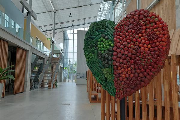 Bezoek van Praktijkcluster Tuinbouw en Uitgangsmaterialen