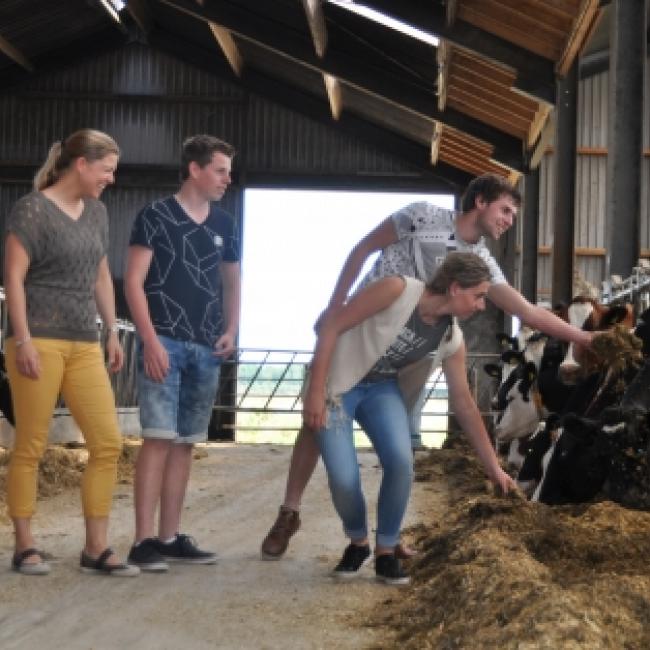 “School zit tegenwoordig veel dichter bij de praktijk”