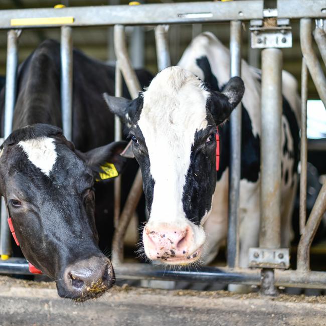 Masterclass mestverwaarding: woensdag 4 oktober