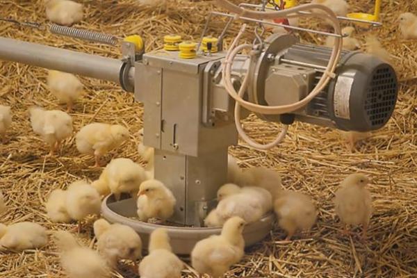 Masterclass Smart Farming Dier