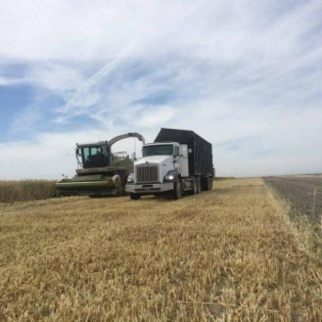 Rondreis door Californië