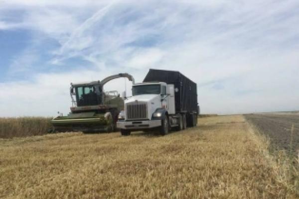 Rondreis door Californië