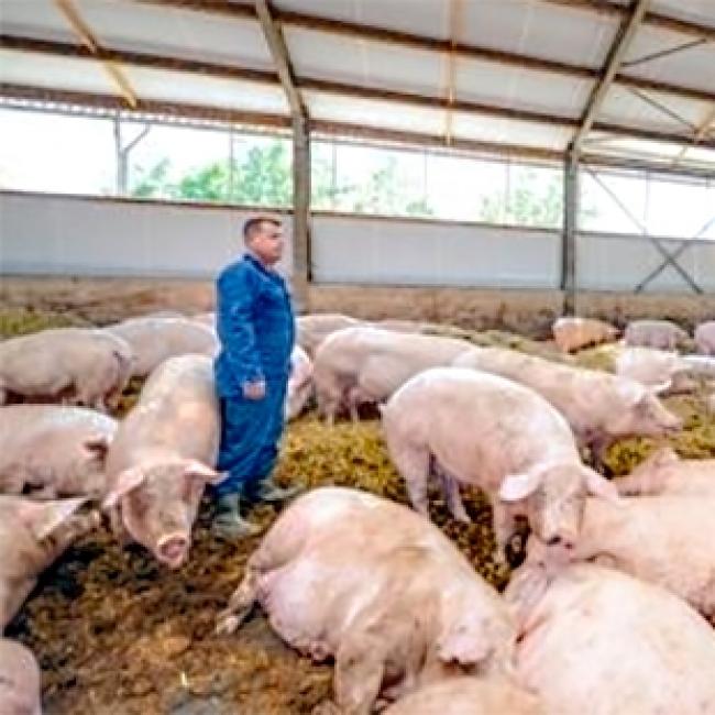 Docentenstage: "Weer met de voeten in de laarzen"