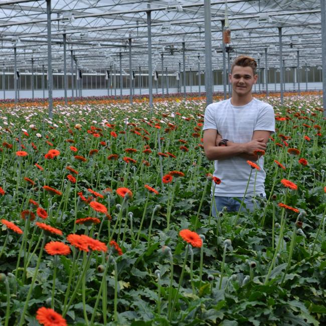 Agrarische stage in het buitenland