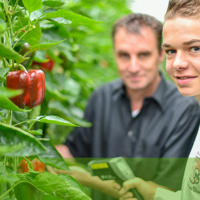 Workshop: Begeleiden Leerlingen voor praktijkopleiders