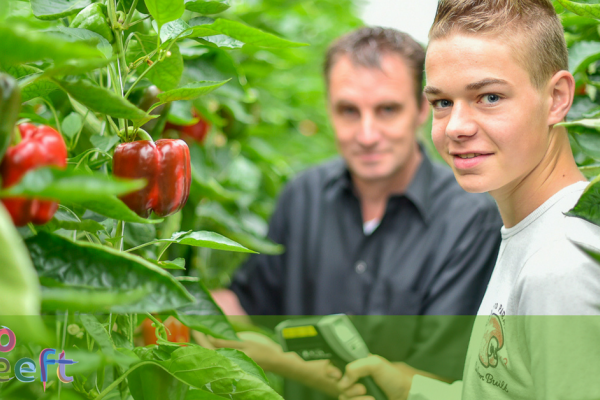 Workshop: Begeleiden Leerlingen voor praktijkopleiders