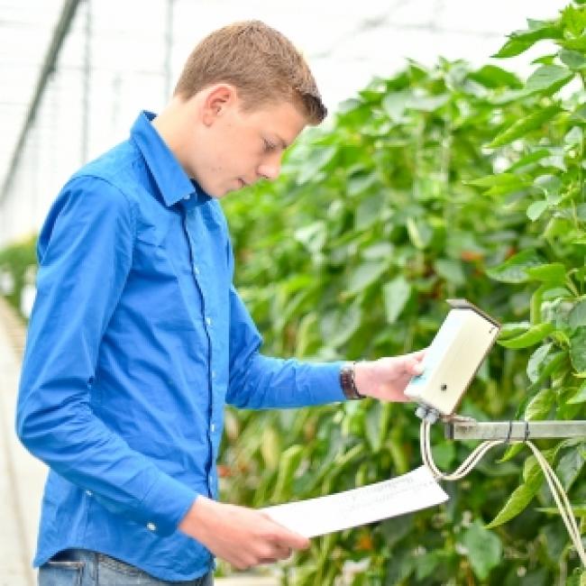 Goed onderwijs CITAVERDE College resulteert in goed rapport