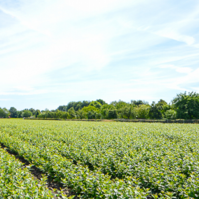 Door een stage krijgt de docent een goed beeld van hoe het er in de praktijk aan toe gaat.
